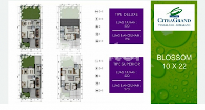 CITRAGRAND BLOSSOM 2