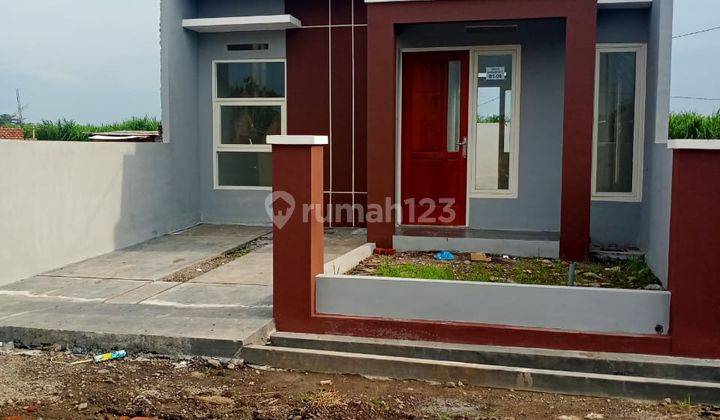 Rumah Baru Sertifikat Hak Milik di Sawocangkring 2