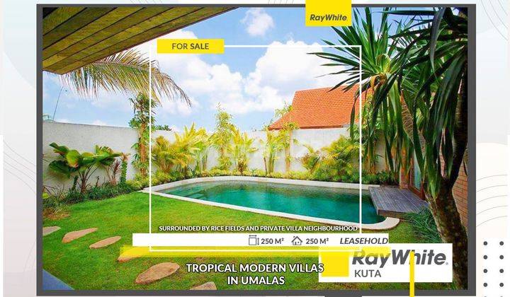 Tropical Modern Villas in Umalas surrounded by rice field and private villas 1