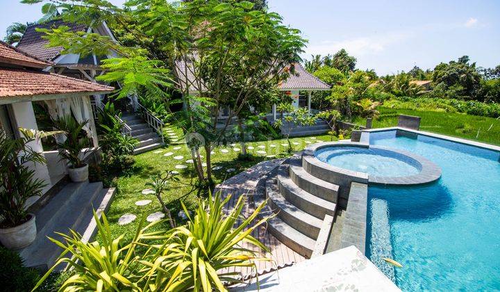 4 Br Villa Pererenan Canggu Large, Cheap Rice Field View 1