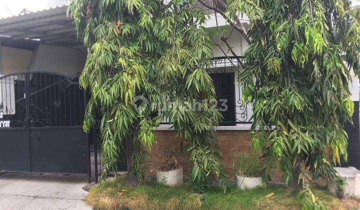 Rumah Taman Sutorejo Timur Siap Huni 1