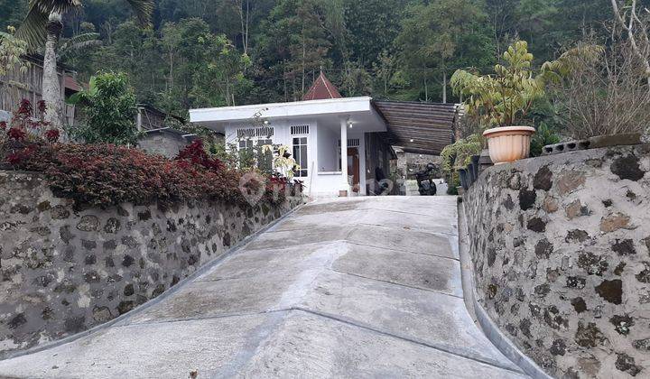 Villa dan Kebun di Kawasan Wisata Jumog IDR 1,8M 1