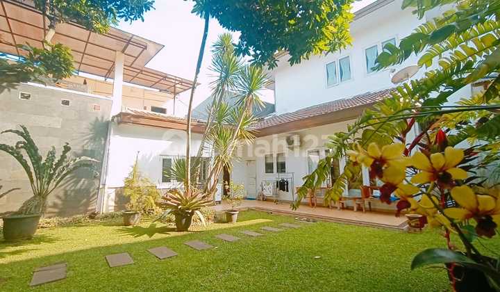 Rumah Mewah 7 Kamar di Bintaro 