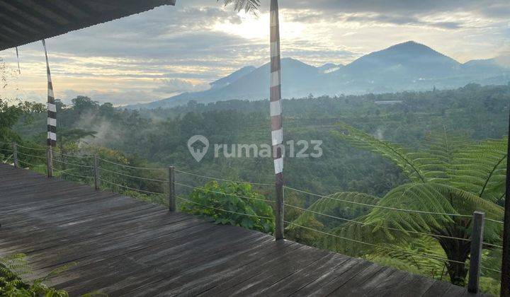 RARE! BEAUTIFUL VILLA BEDUGUL ECO RETREAT 1