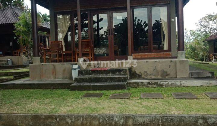 Villa Krisna dekat Pantai Balian Tabanan 2