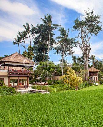 DEKAT PANTAI!! Villa Komplek VIEW SAWAH GREEN ZONE di Canggu Area 2