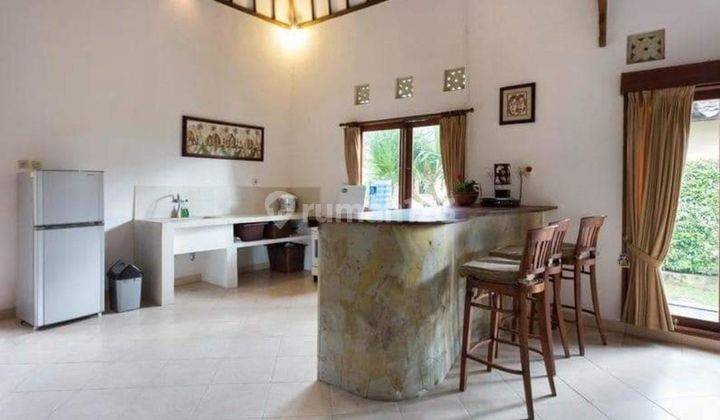 Spacious Cheap Villa in Berawa Canggu 2