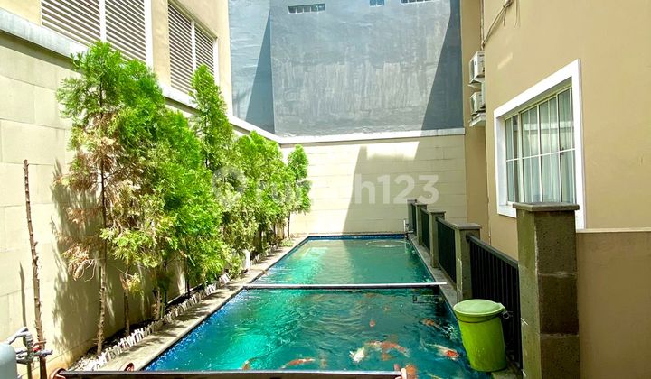Rumah Dengan Kolam Renang Dijual di Alam Sutera Tangerang 2
