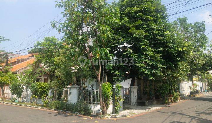 Rumah 2.5 lantai jln samudra oxford koja 1