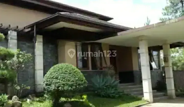 Rumah mewah dengan halaman yang luas 1