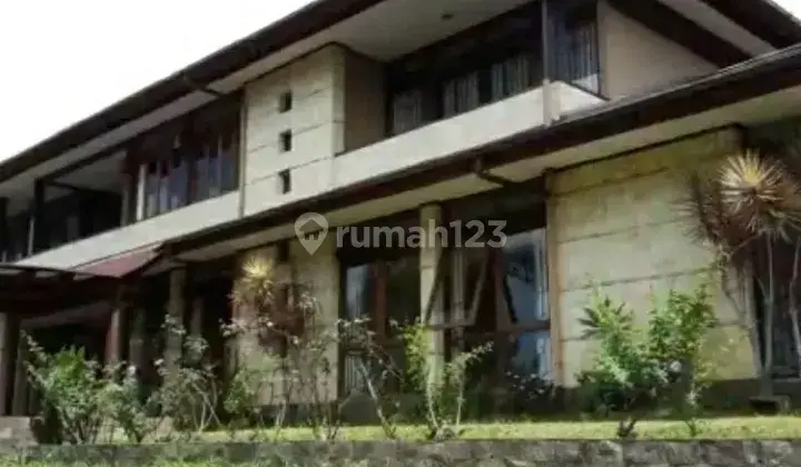 Rumah mewah dengan halaman yang luas 2