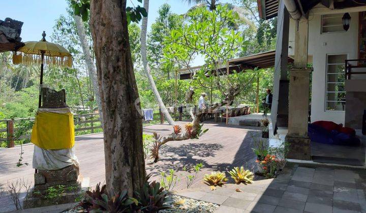 Villa Los Sungai Radius Ubud 1