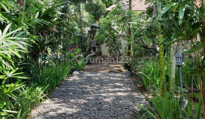 Villa Los Sungai Radius Ubud 2