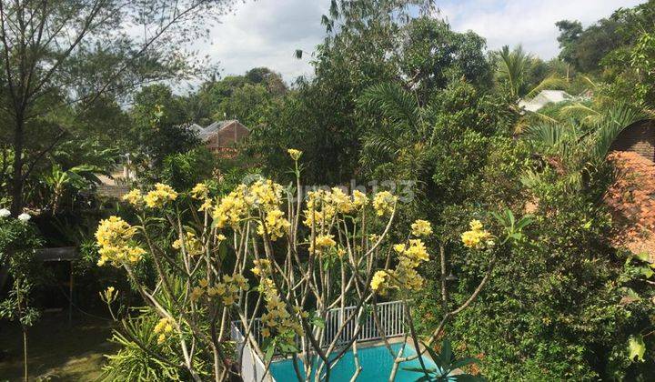 Rumah Villa Dengan Kolam Renang Di Kawasan Sejuk Godean. Homestay Hotel Resto 1