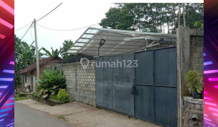 Rumah Kebun Hidroponik Produktif. Usaha Masih Running Siap Meneruskan 1