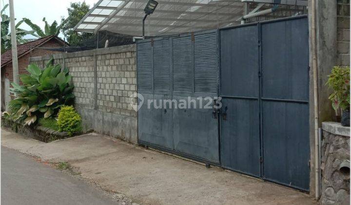 Rumah dan Kebon Hidroponik Produktif Siap Huni Dan Siap Panen Cuan 1