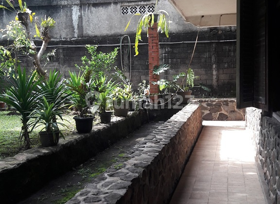 Cilandak Ragunan, Tanah Bangunan 1455xxxx Split Level, Halaman Luas dengan Pohon Buah2an 2