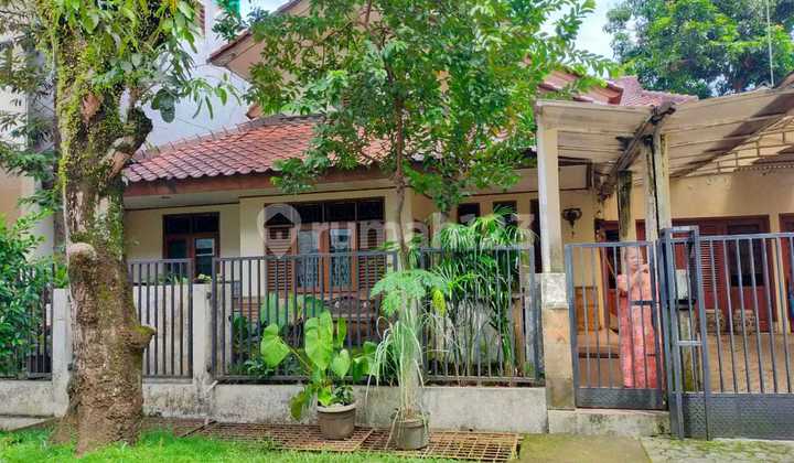Rumah daerah sektor 5 bintaro Rumah daerah sektor 5 bintaro
