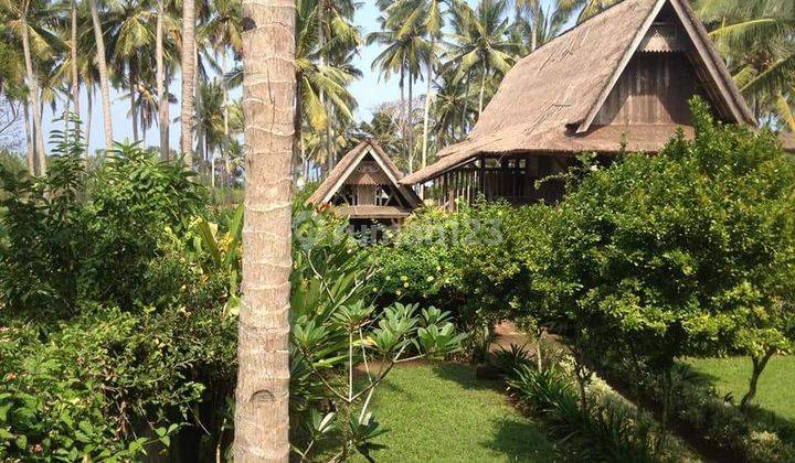 Luxury beach front villa for quick sale in Tabanan 1