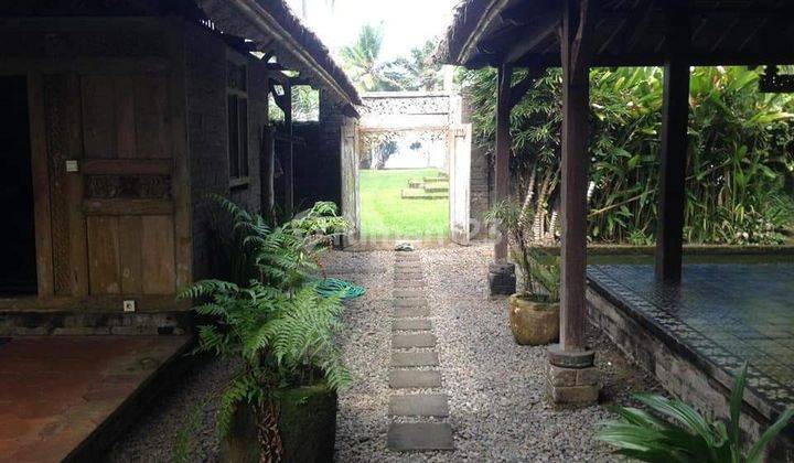 Luxury beach front villa for quick sale in Tabanan 2