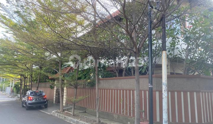 Rumah Etnik dan Asri Dikayu Putih, Strategis dan Bebas Banjir. 2