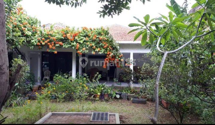 Di jual rumah area Kemang-Jakarta selatan 1