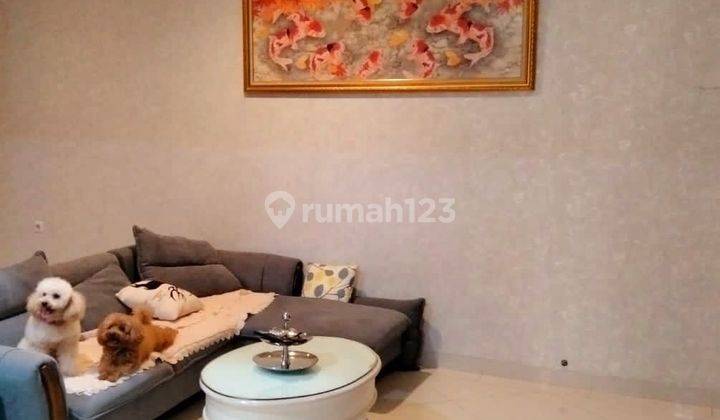 Rumah Bagus dan Siap Huni di Kuda Laut PIK 2