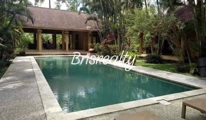Villa Lokasi Payangan Ubud 1