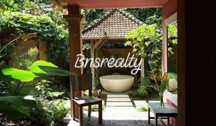 Villa Lokasi Payangan Ubud 2