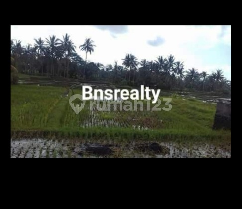 Villa Location Tegallantang Gianyar 2