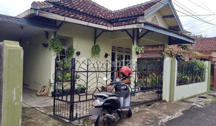 Rumah Penancangan Serang Nego Halus 2