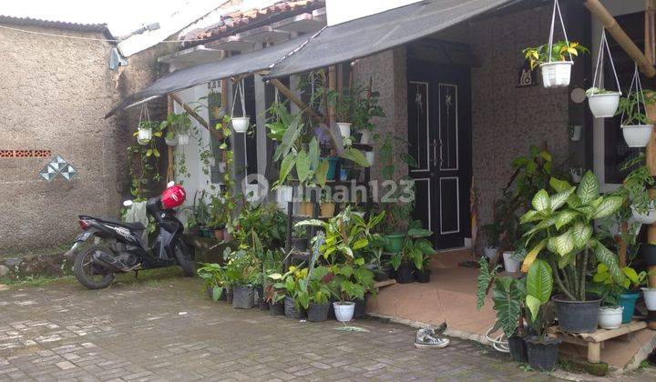 MURAH! Rumah Konsep Tropis Minimalis Strategis Dekat Pusat Kota Cianjur 1