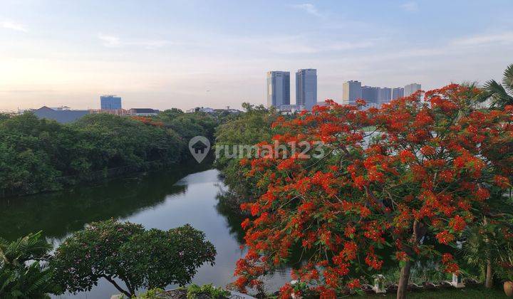 Rumah Mewah Full Furnish Di Perumahan Taman Golf Timur Pantai Indah Kapuk 2