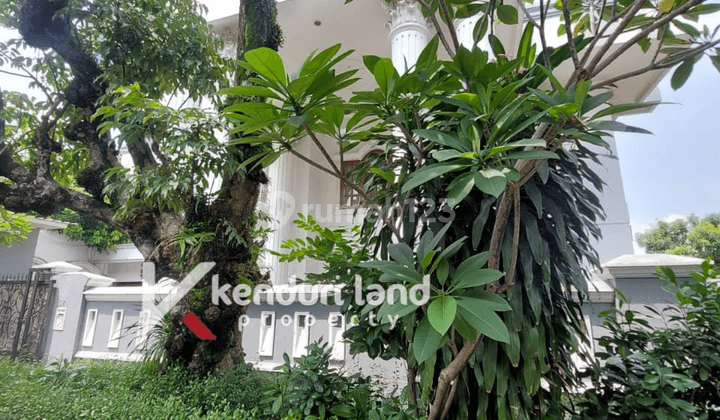 Rumah mewah elegan 2