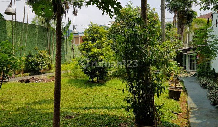 Rumah mewah dan luas dengan taman asri di Taman Golf Modernland 2