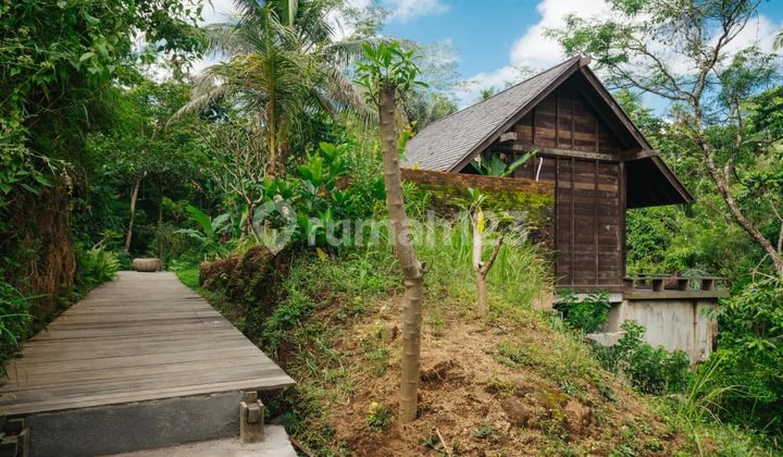 Villa 1 BR Dengan Suasana Hutan Di Hideaway Ubud Daerah Gianyar Bali 1