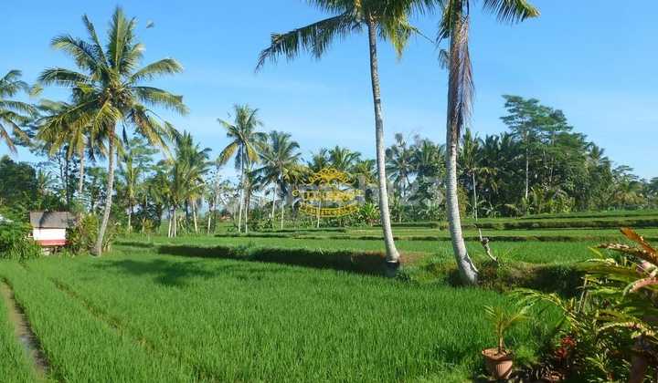 Villa For Sale Location Tampak Siring 2