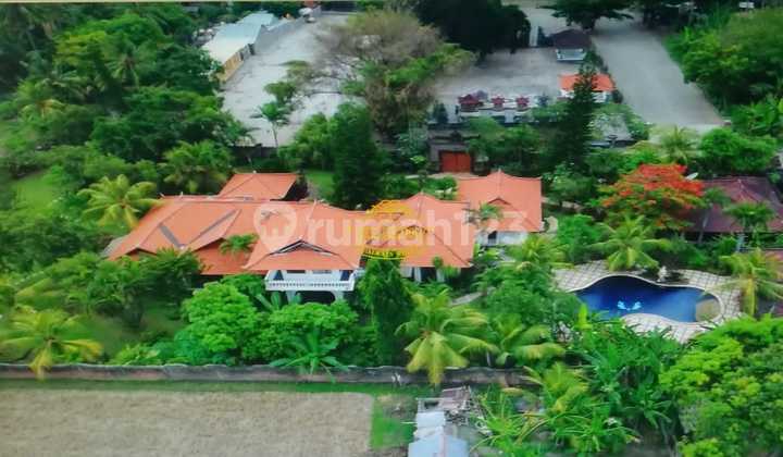 Villa For Sale Location Lovina 2