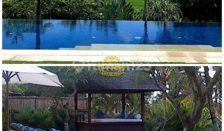 Villa Jual Lokasi Canggu 2
