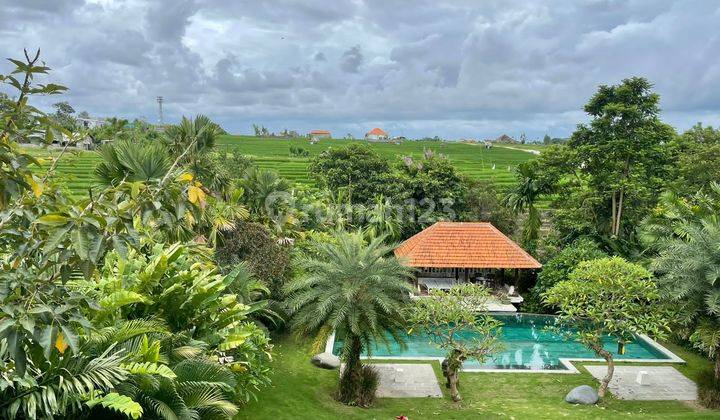 Beautiful villa with rice field view and River view, only 5 minutes to Pererenan Beach by motorbike at Pererenan Canggu, North Kuta, Badung Bali 1