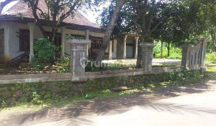 Rumah Jowo 2100m² Mangku Jalan Mojogedang IDR 850Jt 2