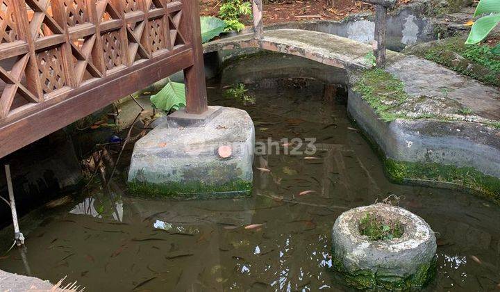 Rumah Bagus & Luas Pondok Labu Area 2