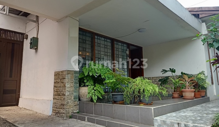 Miliki segera Rumah klasik nuansa Belanda  jln Mangga sayap Riau lokasi sangat premium 2