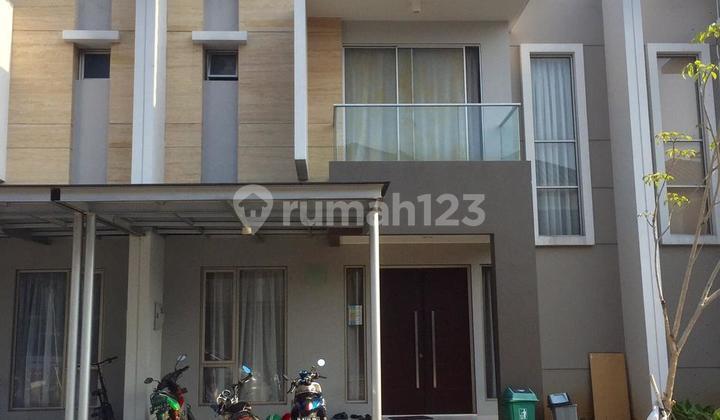 Golf Island Type Papyrus 8x15