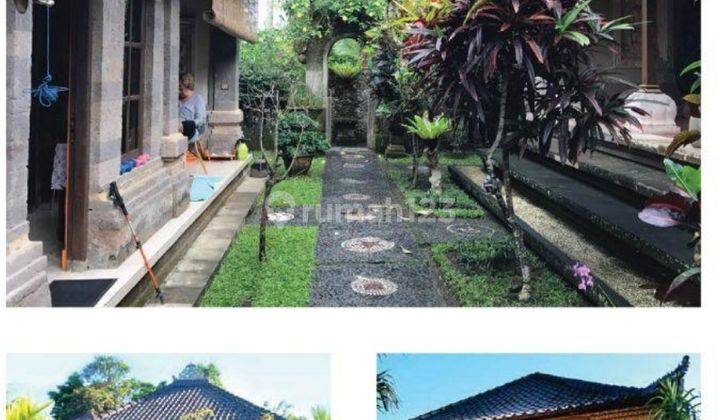 Jarang ada, Turun Harga, Murah Villa di Ubud Bali, style Bali Asli 1