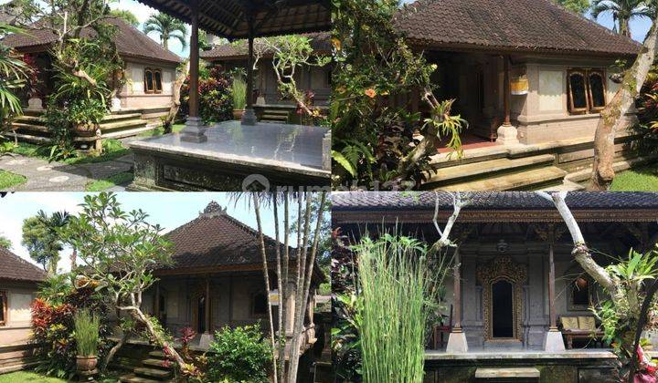 Jarang ada, Turun Harga, Murah Villa di Ubud Bali, style Bali Asli 2