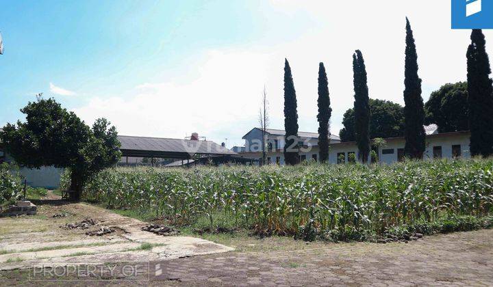 Sariwangi Cocok Untuk Sekolah Perumahan Rumah Makan Wisata  1