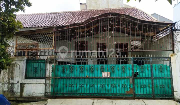 Rumah daerah kayuputih bebas banjir hot sale!! Rumah daerah kayuputih bebas banjir hot sale!!