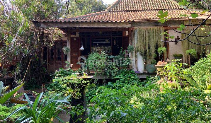 Rumah Kebun rasa Villa dengan konsep rumah Joglo, jarang ada.. 2