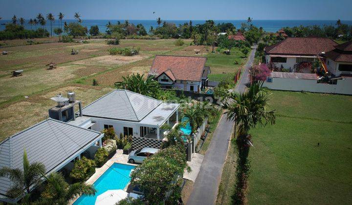 Lovely villa in  central Lovina only 200 meters from the beach 1